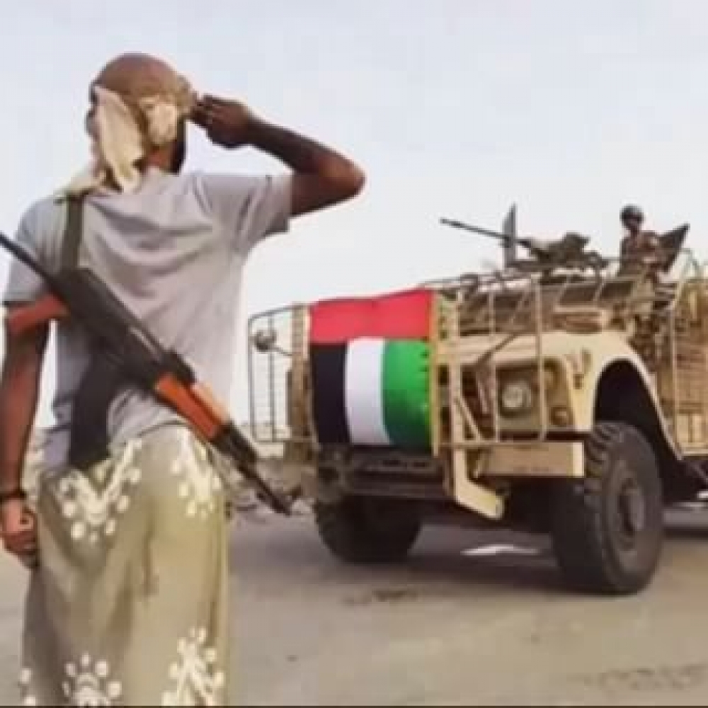 UAE Stops Providing Financial Support to Some Military Units in Yemen